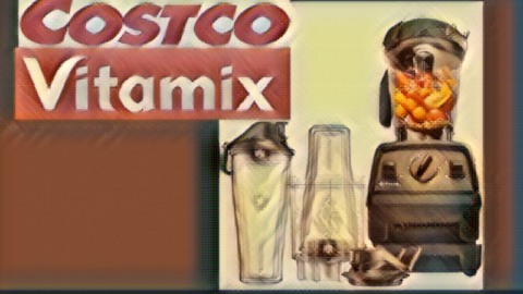 The Ultimate Guide To Choosing The Right Vitamix Blender Costco of 2023