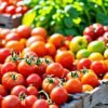 selecting heirloom tomatoes guide